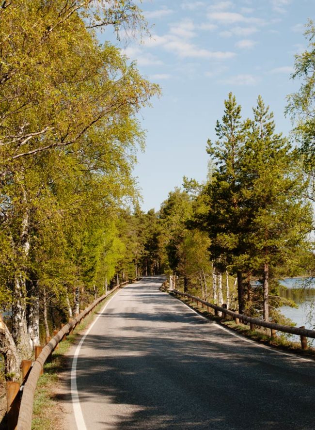 Punkaharjun_kiemurteleva_tie